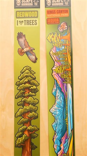 Hydrascape Stickers on Instagram: "Meet the first VERTICAL Infinity Sticker! A giant redwood tree. With Kings Canyon 🌲"