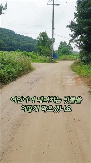 [여인] 솔개트리오