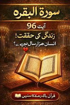 Surah Baqarah Ayat 96 English Urdu Translation Plain text#qurantranslation#explorepage #islamic