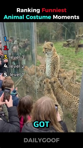 Ranking FUNNIEST Animal Costume Moments🤣funny #prank