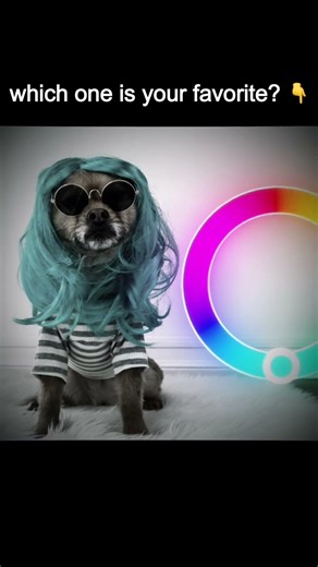When Music Turns Into Colors 🎧✨ | Écoute Chérie Dog Color Trend #shorts #colortrend #aesthetic