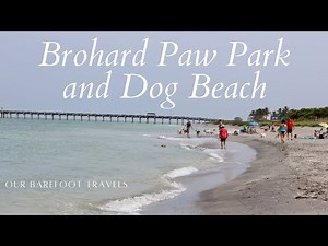 Brohard Paw Park and Dog Beach | Sarasota County | Venice Florida | Beach Walking Tour | Dogs