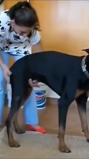 mouse looping #shorts