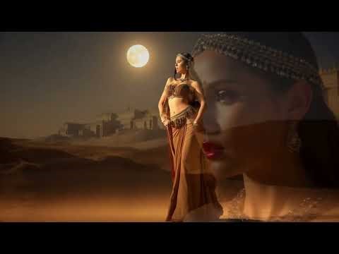 Habibi (حبيبي) - Reaper Shano | Official Music Video 2026