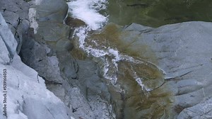 Small waterfall flows into shallow pool filled with wild spawning Coho Salmon.