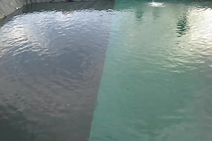 Fish farming pond made with special hands 0978823959 | OrganiX Agri & Hydro