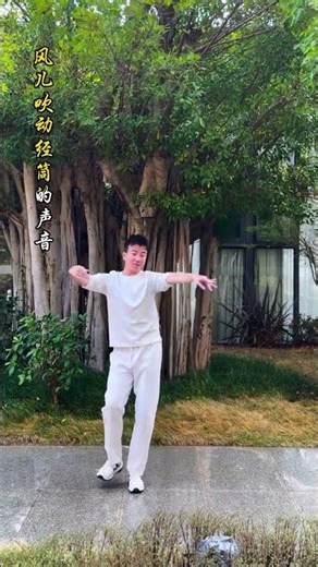 EASY DANCE MOVES IN MOONLIGHT: A GRASSLAND GETAWAY