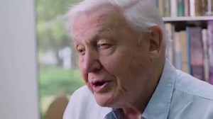 26 reactions | Sir David Attenborough speaks about one of the most pressing environmental issues of our time - plastic pollution. | UK in Malaysia - British High Commission Kuala Lumpur | Facebook