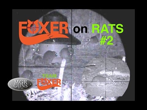 Rat Shooting #2 With The Nitesite and Ruger 10/22 .22LR