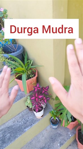 Durga Mudra Practice Daily for 15-20 mins #yoga #yogi #yogateacher #yogaclass #onlineyoga #yogafordigestion #digestion #reels #fbreels #reelsviral #viral #viralreels #viralvideo #trend #trendingreels #trendingvideo #trendingnow #onlineyoga | Yogic Lifestyle with Anish