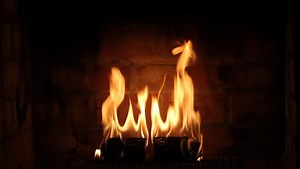 Watch ECOFIRE ECO COCONUT Super Fire Log, 2 hour burn time, extra long duration on Amazon Live