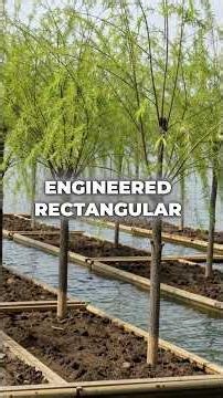 How the Aztecs Fed 200,000 People on a Lake with Floating Farms #historyfacts #mindset #hi