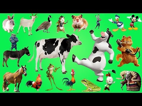 Farm Animals for Kids, Learn Animals Farm with Cartoon & Real Animals for children | Niki Kids TV