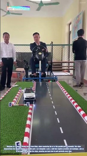 Mastering the Parallel Park: A Chinese Driving Lesson