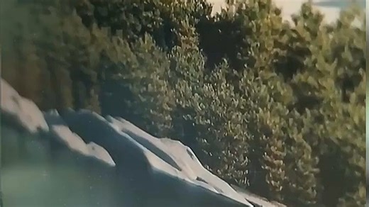 性能卓越，高效出众