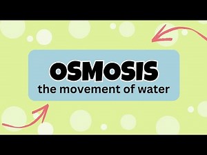 TLE-6 Performance Task: Salting and Osmosis Experiment using Apple
