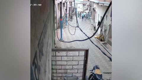 Wild monkeys attack boy, 5, on backstreet in India