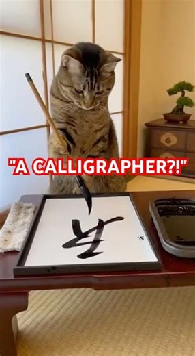 "A CALLIGRAPHER?!"
