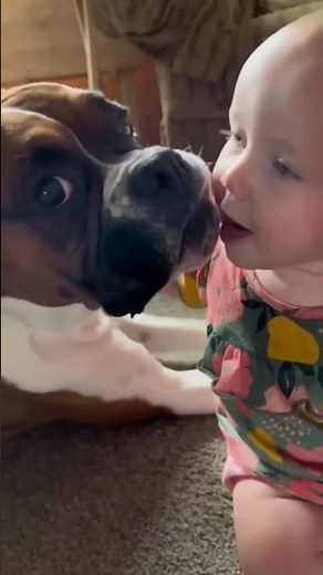 Dog Licks Baby's Face - We Can't Help But Laugh!
