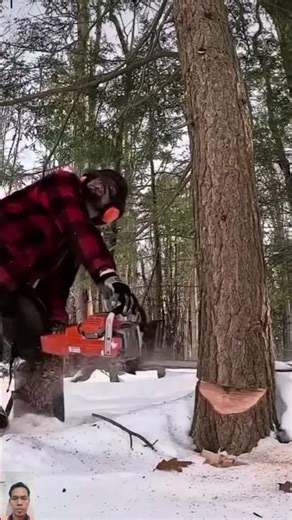Extreme Tree Cutting in Snow ❄️ | Powerful Chainsaw Skills 💪