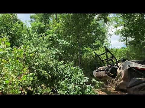 Gyro Trac 500HF Forestry Mulcher Demo and Review.