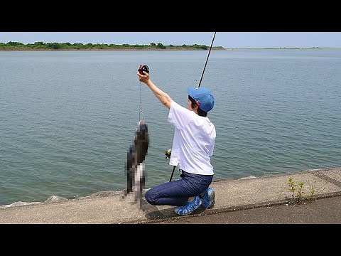 Easily Catch Black Sea Bream Using a Lure! Watch This Shocking Fishing Scene!