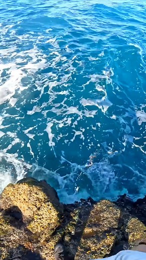 Solo rock fishing adventures never disappoint. | Cavy Fishing