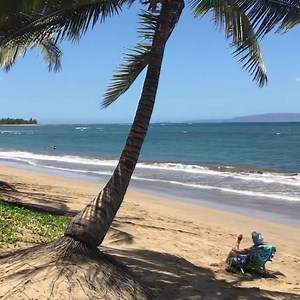 147K views · 10K reactions | Kihei beach day!  | Experience Hawaii Media | Facebook