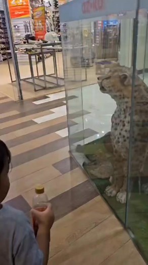 23K views · 575 reactions | Samy lucu lah | Sahabat UAS | Facebook