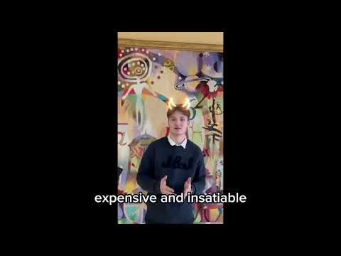 Infomatrix Asia 2026| Applied Science Project| Dolidze Luka|Kazakhstan