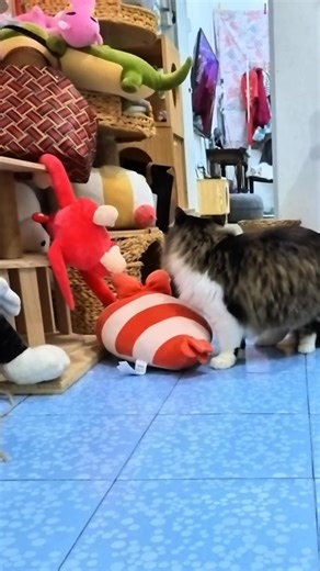 572K views · 16K reactions | Ouch! this darn fish!  #DieDie | Mrdiedie | Facebook