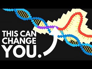 Will Genetic Modification Create Perfect Humans?
