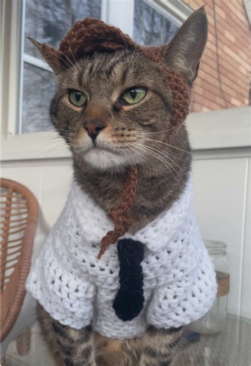 Hello 👋🏻 #thebookofmormonmusical #chanceinhats #cathat #catsinhats #crochetcathat