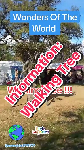 Walking Trees: Discover the Amazing Wonders of the World