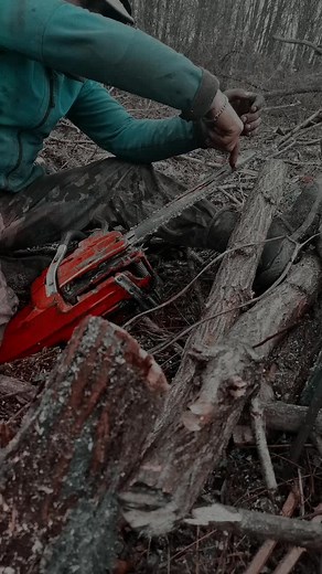 Chainsaw Maintenance Tips for Outdoor Work