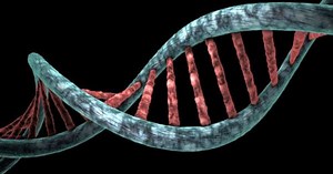 Dogs in this town will have their DNA tested to crack down on poo problem * WorldNetDaily * by Around the Web