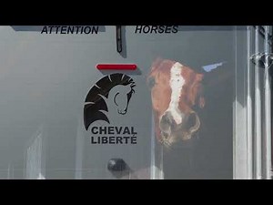 Say hello to Cheval Liberté for all your equestrian essentials