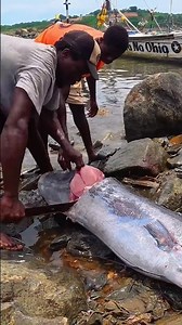 Crazy Blue Marlin Cutting on a PERFECT Day