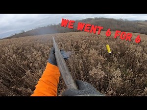 Not our best day. Western pa Pheasent hunting With Cocker Spaniel