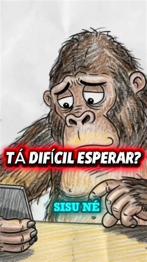 The SISU Casino #bigtree #productivity #curiosities #sisu #enem