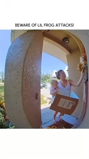 Frog_Is_Everything | Beware of lil frog attack 🐸 Repost @froggycommunity #frog #froggy #froglover #frogmeme #froggo #frogs #frogsofinstagram #frogmemes... | Instagram