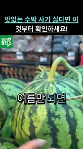 수박 당도, 두드리지 않아도 알 수 있습니다! #생활꿀팁 #건강 #노인건강 #건강정보 #청소비법