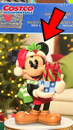 💡 Holiday Accessories You NEED From Costco! 🎁 | The Deal Guy