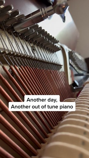 The Beauty of Harmonizing Unisons: A Piano Tuner's Journey