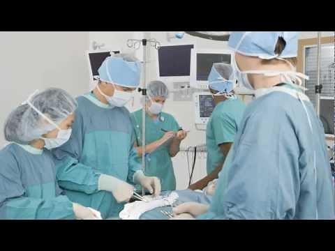 Operating Room Nurses