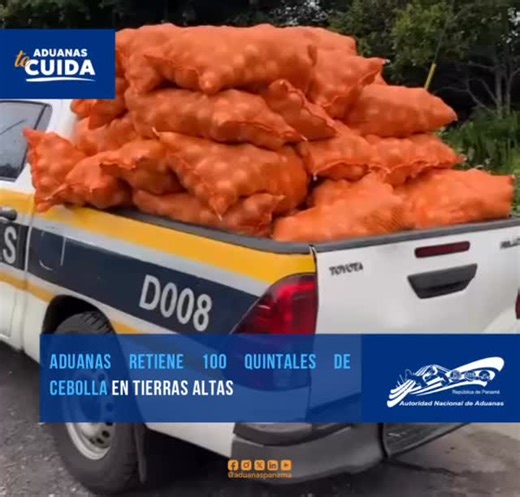 🚨 Aduanas decomisa nuevo cargamento de cebolla en Tierras Altas 🚨 Gracias a una denuncia anónima a la línea directa 📞 775-1933, inspectores de la Dirección de Prevención y Fiscalización Aduanera (DPFA), Zona Occidental, lograron el decomiso de 100 quintales de cebolla presuntamente de contrabando en una residencia del área de Tierras Altas. El cargamento y el vehículo fueron trasladados a la sede de Aduanas para su debida custodia. Las investigaciones continúan para deslindar responsabilidade