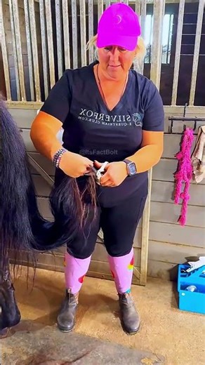 What Happens If a Horse's Tail Is NEVER Cut? 😳🐎 | #factbolt #facts #viralfacts #factbolt