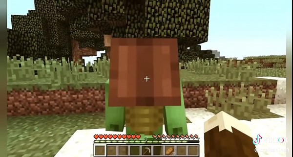 Minecraft 2021: Highlights and Updates