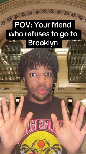 Whole time he’s just missing out 😭 #greenscreen #nyc #brooklyn #fyp #mylesanew