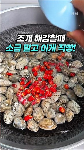 조개 해감할때 제말 소금만 넣지 마세요! 대박 비법